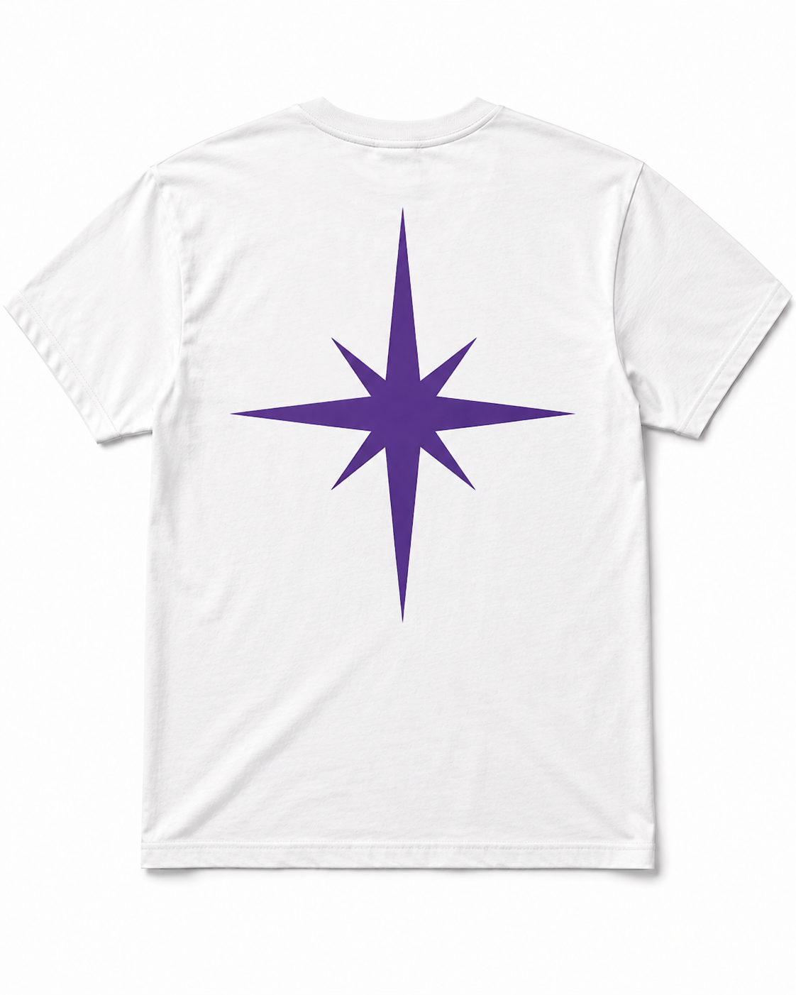 NORTHSTAR LOGO T-SHIRT(White)